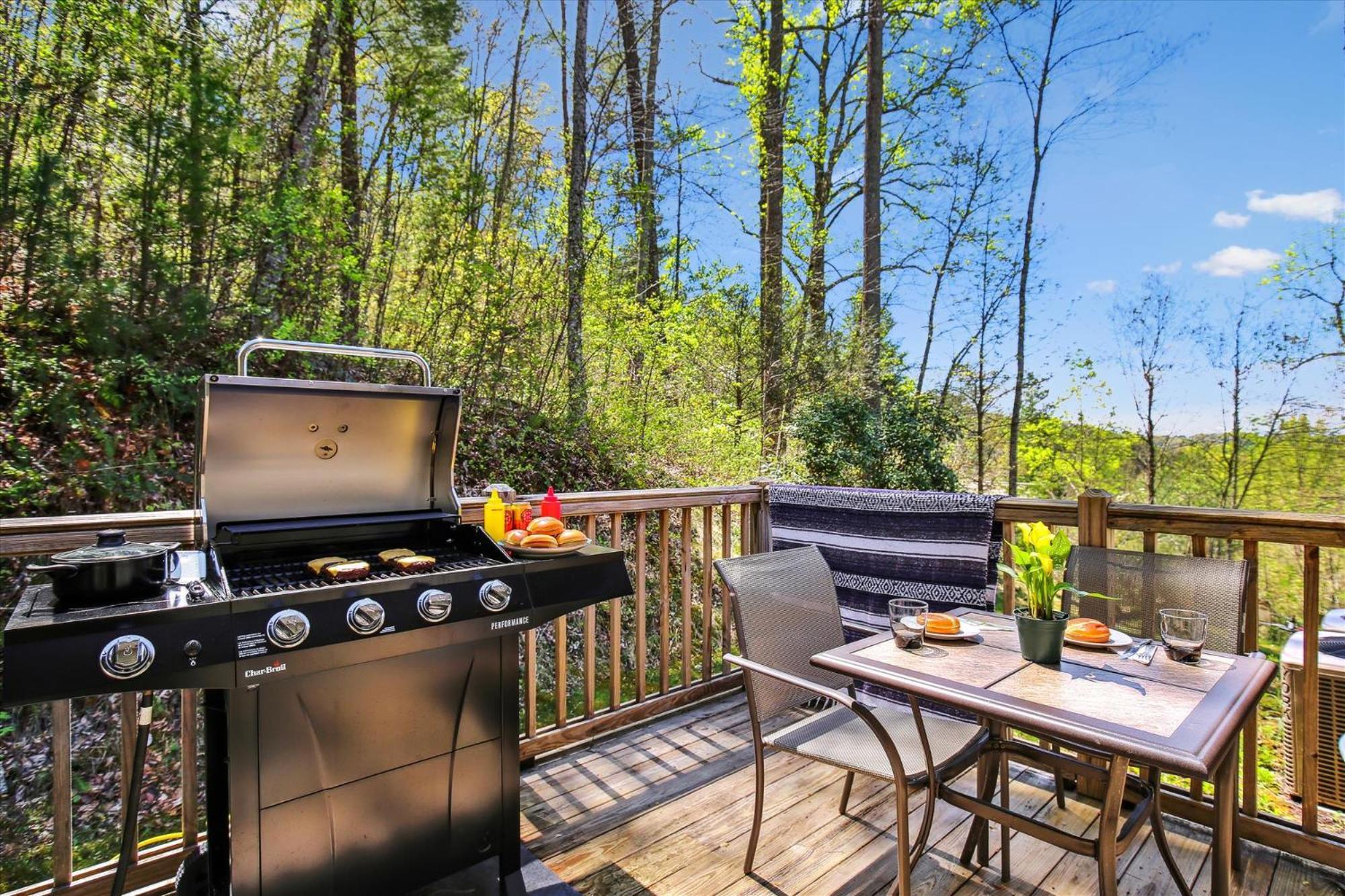 10 Min To Dt, 15 Min To Biltmore, Fire Pit, View Holiday home
