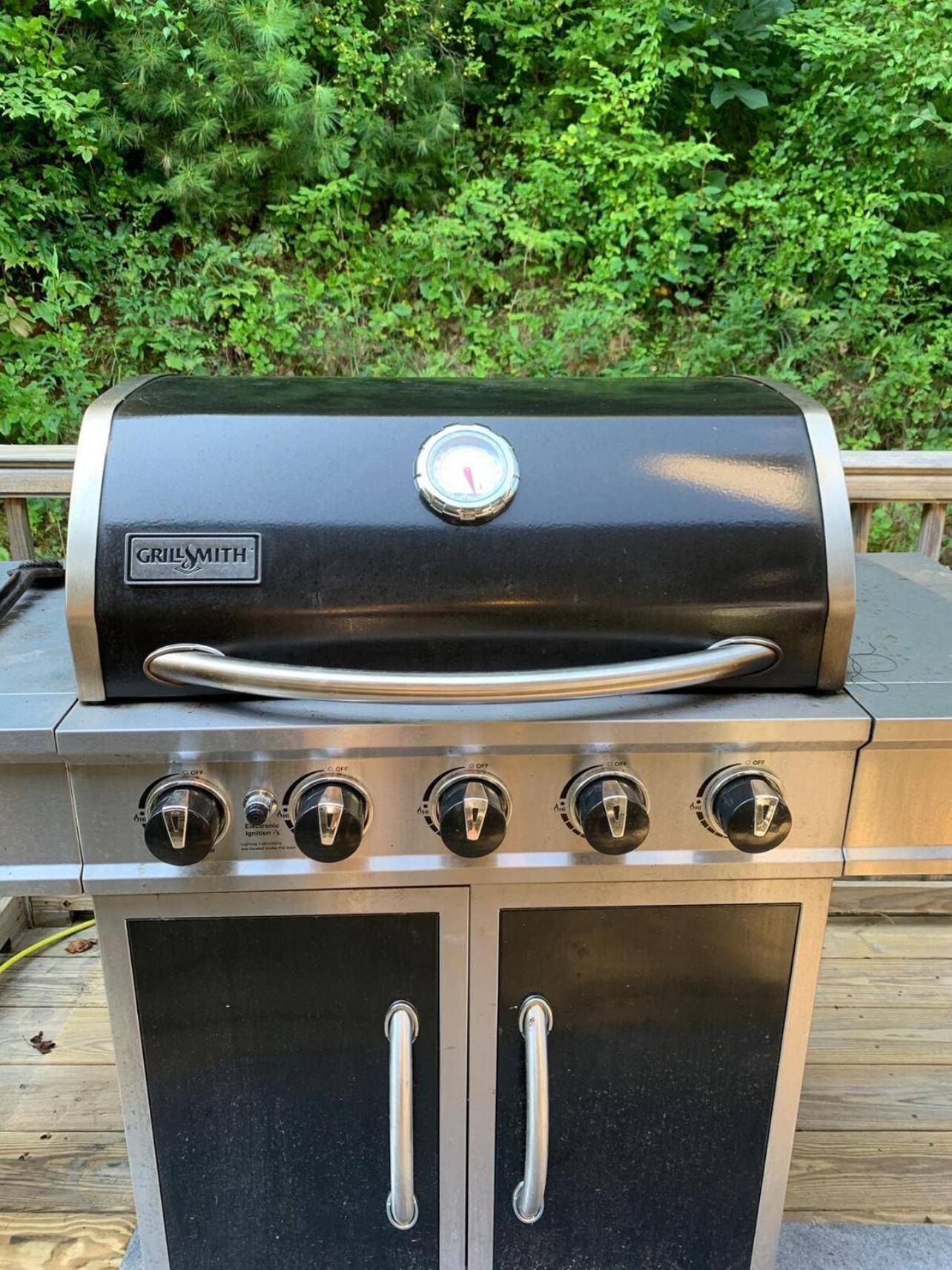 10 Min To Dt, 15 Min To Biltmore, Fire Pit, View Holiday home